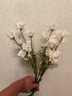 爱已装糖 高档仿真花假花客厅装饰插花电视柜摆件塑料花 荷兰小雏菊5支 实拍图