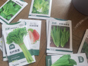 北蔬 蔬菜种子苗生菜菠菜小香葱芹菜阳台四季菜种籽 12种蔬菜种子套餐 实拍图