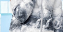 雪中飞童装儿童轻薄羽绒服男童新款中大童女童薄款外套冬 冰山雪地 170 实拍图