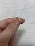 中国黄金（CHINA GOLD）足金戒指女碎碎冰戒指黄金固口素圈指环七夕情人节礼物送女友老婆 碎碎冰戒指 圈号18 1g 实拍图