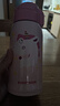 杯具熊（BEDDYBEAR）儿童保温杯带吸管双盖两用儿童水杯316不锈钢学生杯子600ml独角兽 实拍图