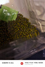 硃碌科 有机绿豆3斤罐装 薄皮明绿豆可发豆芽 绿豆沙绿豆汤东北芽豆 实拍图