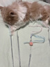 华元宠具（hoopet）仙女逗猫棒猫咪玩具互动自嗨解闷长杆羽毛带铃铛小猫宠物用品套装 实拍图