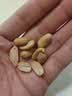植宴 正宗山东2026年新花生米五香蒜香下酒菜零食商用价 (品尝组合)(2罐共500g)五香+蒜香 实拍图