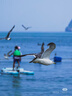 腾龙（Tamron）A074S 28-300mm F/4-7.1 Di III VC VXD防抖大变焦长焦 旅行风光 全画幅微单镜头(索尼全幅E口) 实拍图