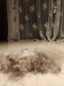 FURminator富美内特猫梳子布偶长毛猫梳毛刷猫用宠物梳子去毛神器梳毛神器 长毛中大型猫≥4.5kg 实拍图