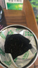 乐品乐茶茶叶绿茶特级毛尖2025新茶明前春茶嫩芽冷泡茶解暑250g送礼品袋 实拍图