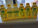 滴露（Dettol）洗衣机清洗剂250ml*6瓶金装版柠檬滚筒洗衣机清洁剂强力除垢除菌 实拍图