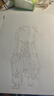 欧舒丹【返10元券】平衡洗护发控油蓬松派样旅行装（洗护发共6ml*6） 实拍图