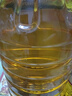 京觅玉米胚芽油5L 非转基因一级压榨 充氮保鲜 实拍图