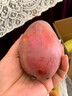 甜果源源 金煌芒芒果 树上现摘芒果广西热带应季时令水果果园直发新鲜水果 5斤精选果【单果150g+】净4.5斤 实拍图