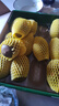佳沛（zespri）新西兰 阳光金奇异果12粒礼盒特大果单果约122-146g 猕猴桃 水果 实拍图
