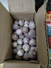 京喜自营云南紫皮独头蒜干蒜高原珍珠蒜新鲜蔬菜调料 推荐 1斤 单果2cm左右 实拍图