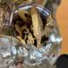 徽京华尊 国药药材 天麻片 100克云南小草坝天麻切片泡茶自磨天麻粉送礼 实拍图