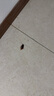 京鲜生 国产蓝莓 4盒 14mm+装125g/盒 生鲜水果 源头直发 包邮 实拍图