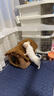 珑小宠  猫窝狗窝冬季宠物房子可拆洗四季通用狗猫房子小型犬泰迪狗屋 棕色S号 实拍图