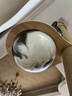 皇家猫粮 英短成猫粮 BS34 通用粮 12月以上 10KG 实拍图