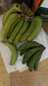 正宗甜香蕉 新鲜采摘生态种植 需催熟 青香蕉发货 5斤 实拍图