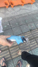 【全网爆款】手动UV折叠雨伞男女晴雨伞两用防晒遮阳黑胶伞 【自动款】黑色UV 实拍图