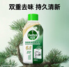 滴露（Dettol）洗衣机清洗剂250ml金装版松木滚筒波轮洗衣机清洁剂强力除垢杀菌 实拍图