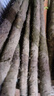 粉糯正宗铁棍山药淮山药无添加小白嘴正品垆土铁棍新鲜蔬菜 铁棍山药2斤带箱  （20cm-40cm） 实拍图