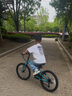 途锐达铝合金超轻儿童自行车6-10-12岁青少年男女孩车20寸土耳其蓝 实拍图
