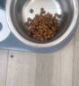 冠能狗粮消化舒适成犬狗粮全价2.5kg 天然益生元配方 改善肠胃敏感 实拍图