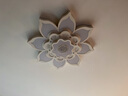 灵翔之光轻奢客厅灯简约现代异形大厅大灯大尺寸花朵led吸顶灯2025年新款 80cm三色80W适用15-25㎡ 实拍图