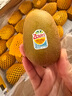 佳沛（zespri）新西兰  阳光金奇异果10粒礼盒巨大果单果约144-175g 水果 猕猴桃 实拍图