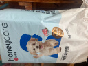 HONEYCARE宠物尿垫猫狗尿片 训导防漏尿布 加厚尿不湿狗狗厕所垫M码45*60cm 实拍图