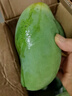 三亚芒果  海南芒果新鲜水果生鲜整箱当季大青皮芒 热带孕妇芒果 5斤装(净果4.5斤)单果201克+ 实拍图