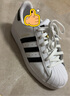 阿迪达斯adidas三叶草贝壳头SUPERSTAR男女休闲鞋EG4958 36.5码 实拍图