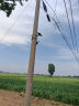 镭威视4g太阳能三摄像头终身免充值流量户室外无电网手机远程监控器家用360度无死角带板全景彩夜视追踪 实拍图