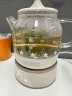膳魔师（THERMOS） 迷你养生壶办公室煮茶器电水壶恒温电热水壶玻璃花茶壶养生杯 礼物 EHA-1602E -G 0.55L 实拍图