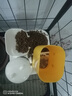 憨憨乐园宠物猫碗自动喂食器猫咪饮水机狗狗食盆喝水吃饭一体猫粮狗粮用品 实拍图