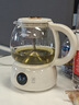 美的（Midea）煮茶器煮茶壶花茶壶 养生壶迷你恒温电热水壶蒸茶器喷淋式316L不锈钢烧水壶黑茶茶具1升YSTM-Z11 实拍图
