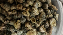杞里香 胎菊80g 菊花茶叶花草茶杭白菊花蕾枸杞金银花决明子茶泡水养生 实拍图
