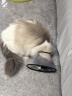 憨憨乐园伊丽莎白圈耻辱圈狗狗项圈猫头套项圈宠物狗脖套防咬圈狗用品5号 实拍图