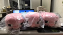 名创优品（MINISO）我的世界系列12号Q版公仔Pig猪 毛绒玩偶抱枕玩具 实拍图