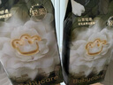 babycare金山茶花纸尿裤L40片(9-14kg)婴儿尿不湿【新老混发】 实拍图