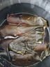 方家铺子 中华老字号 精选海带头250g  海带根部30cm 特厚叶片 凉拌煲汤 实拍图