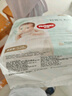好奇（Huggies）【尿裤免费送】S28心钻装小森林纸尿裤超薄迷你装【只返1次】 实拍图