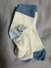 尼多熊儿童袜子夏季透气男童棉袜宝宝网眼袜子卡通松口透气棉袜 5双装 实拍图