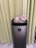 352空气净化器加湿器家用除菌甲醛吸毛消毒机2800mL/h母婴无雾加湿净化一体机家电国补H301 实拍图