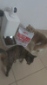 玫斯（metz）猫粮无谷天然猫粮成猫幼猫全阶段鲜肉孕猫全价奶糕猫粮 肠道护理1.5KG（2月及以上） 实拍图