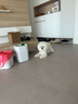 东方森草宠物狗狗沐浴露猫咪浴液除臭留香幼犬泰迪比熊金毛 桔梗400ml(推荐白毛宠物) 实拍图