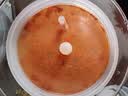 名正湖南常德特产新化白溪豆腐乳农家手工自制无油香辣霉豆腐乳下饭菜 1000g*1瓶【塑料坛】 实拍图