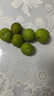 现摘现发四川小脆红李新鲜李子生鲜水果孕妇可食 单果 10g+ 带箱5斤 实拍图
