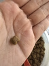 伯纳天纯鸭肉梨冻干三拼狗粮2kg/4斤 实拍图