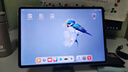 HUAWEI MatePad 11.5''S灵动款 国家补贴15% 华为平板电脑高刷2.8K全面屏学习8+256GB WIFI湖光青 实拍图